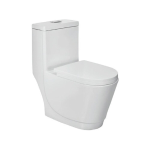 Single Piece Rimless Toilet Seat and Cistern
