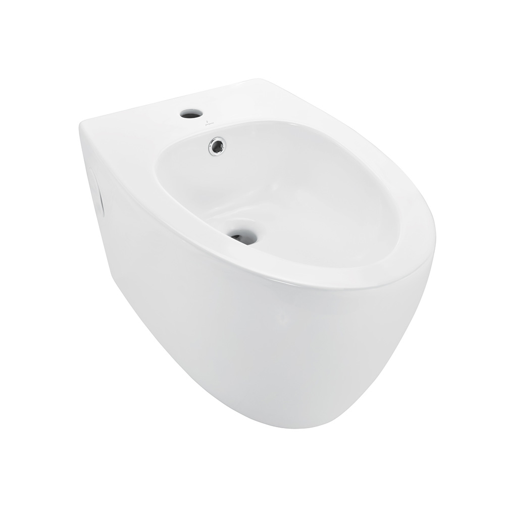 Wall Hung Toilet Bidet Blind Installation Bidet