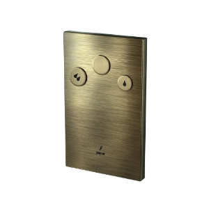 Picture of i-Flush with Concealed body - Antique Bronze