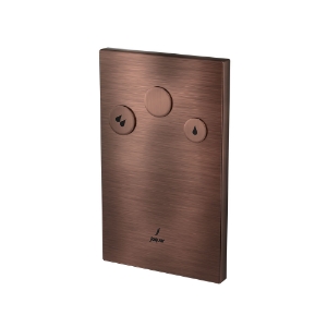 Picture of i-Flush with Concealed body - Antique Copper