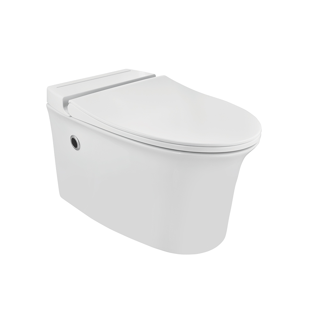 Tankless Wall Hung Wc Tankless Wall Hung Wc