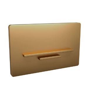 Picture of Control Plate Laguna-Gold Matt PVD