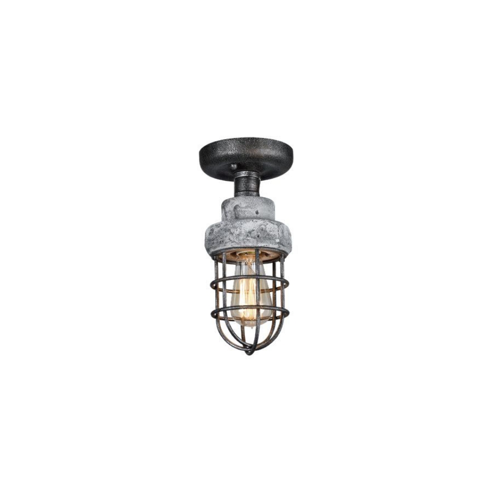 Picture of 1 LT Cage type  Ceiling Light