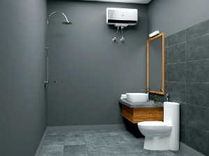 Picture of Ornamix Prime Bathroom-1