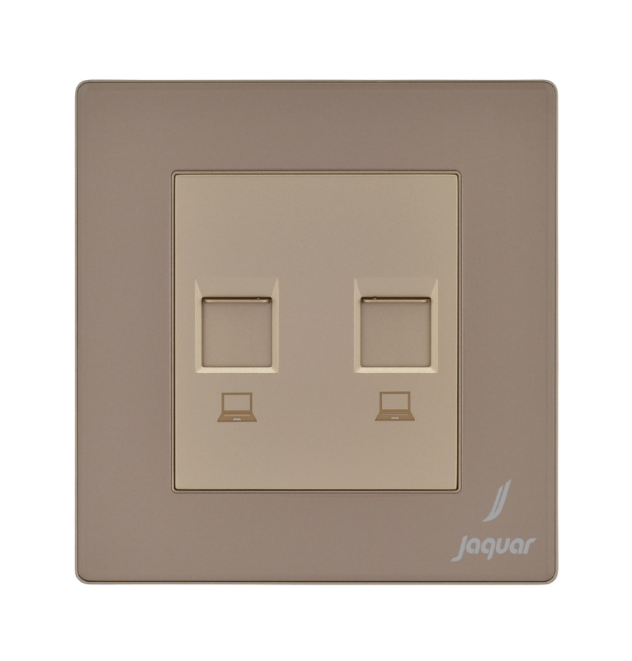 Picture of Double Computer Socket - Gold