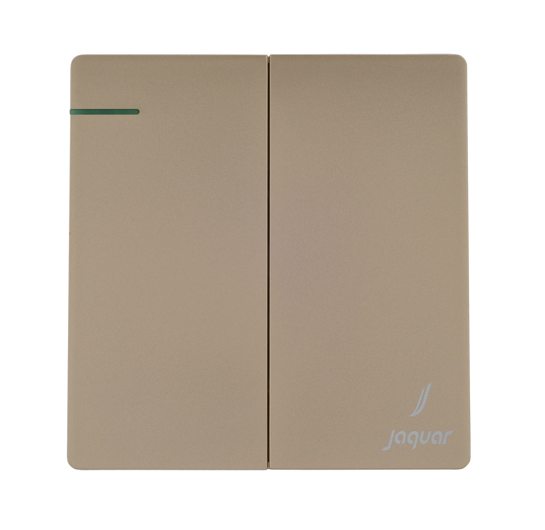 Karbonic Golden Color 2 Gang 2 Way Electric Switch