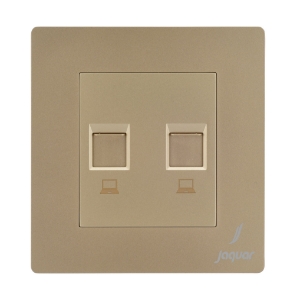 Picture of Double Computer Socket - Gold