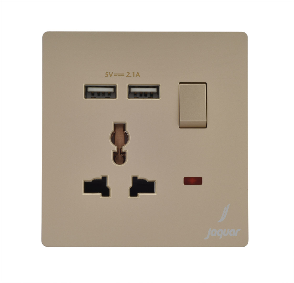 Karbonic Golden Finish Universal SwitchSocket and 2 USB Jaquar