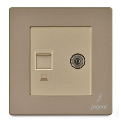 Picture of Television & Computer Socket - Gold