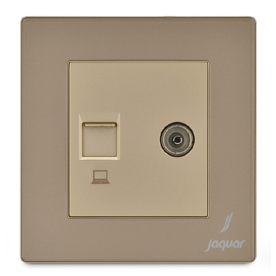 Picture of Television & Computer Socket - Gold