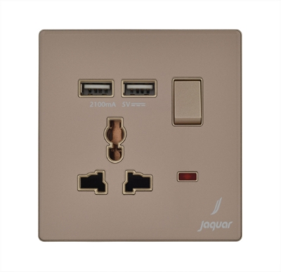 Picture of Universal Socket With 2 Usb Port - Gold