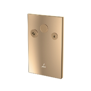 Picture of i-Flush with Concealed body - Auric Gold