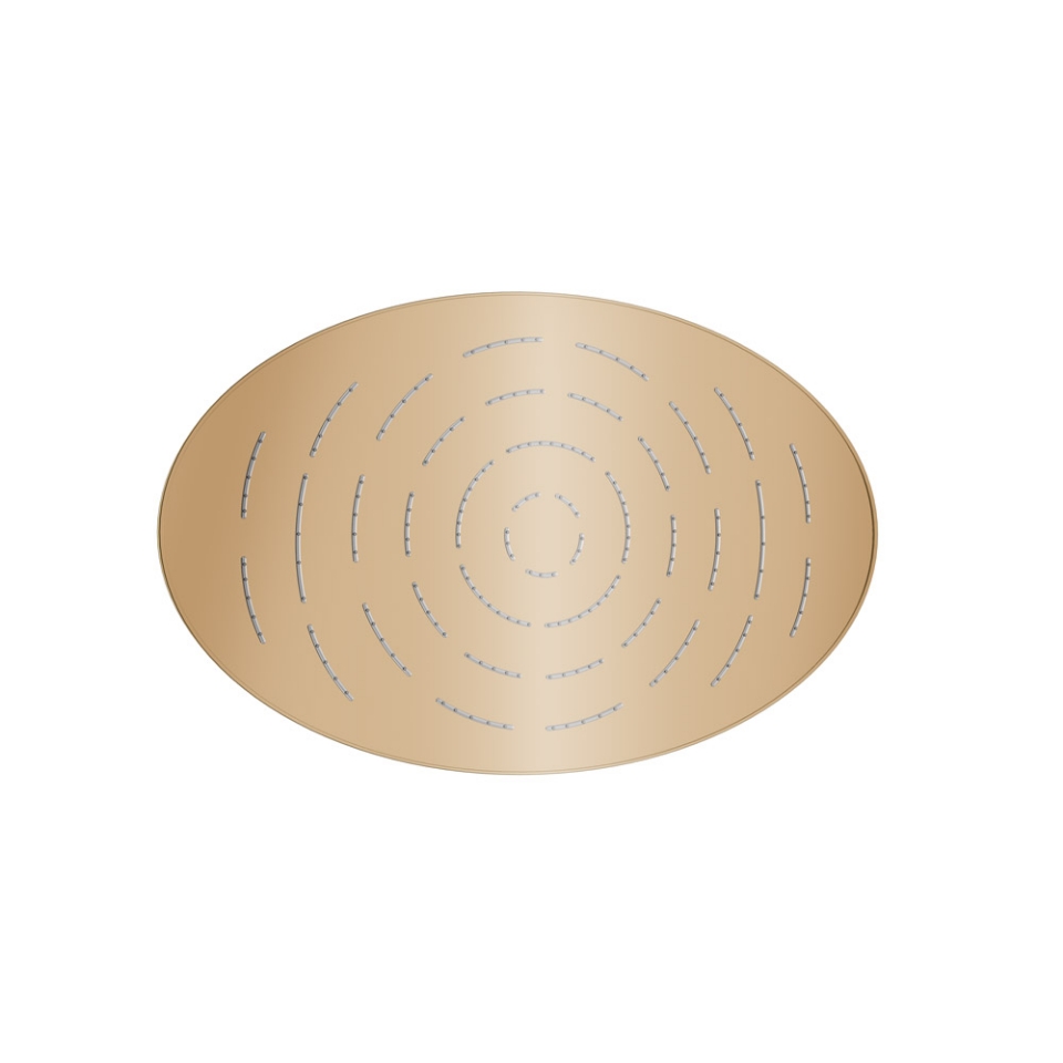 Picture of Maze Overhead Shower 340X220mm Oval Shape Single Flow - Auric Gold