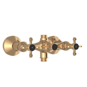 Picture of Exposed Wall Mixer - Auric Gold