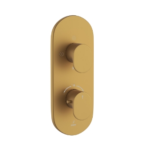 Picture of Aquamax Thermostatic Shower Mixer - Gold Matt PVD