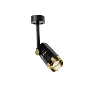 Picture of Colt Brass Surface Zommable
