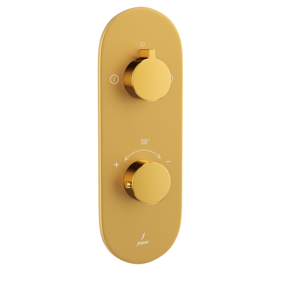 Picture of Aquamax Exposed Part Kit of Thermostatic Shower Mixer with 2-way diverter - Lever: Gold Bright PVD | Body: Gold Matt PVD