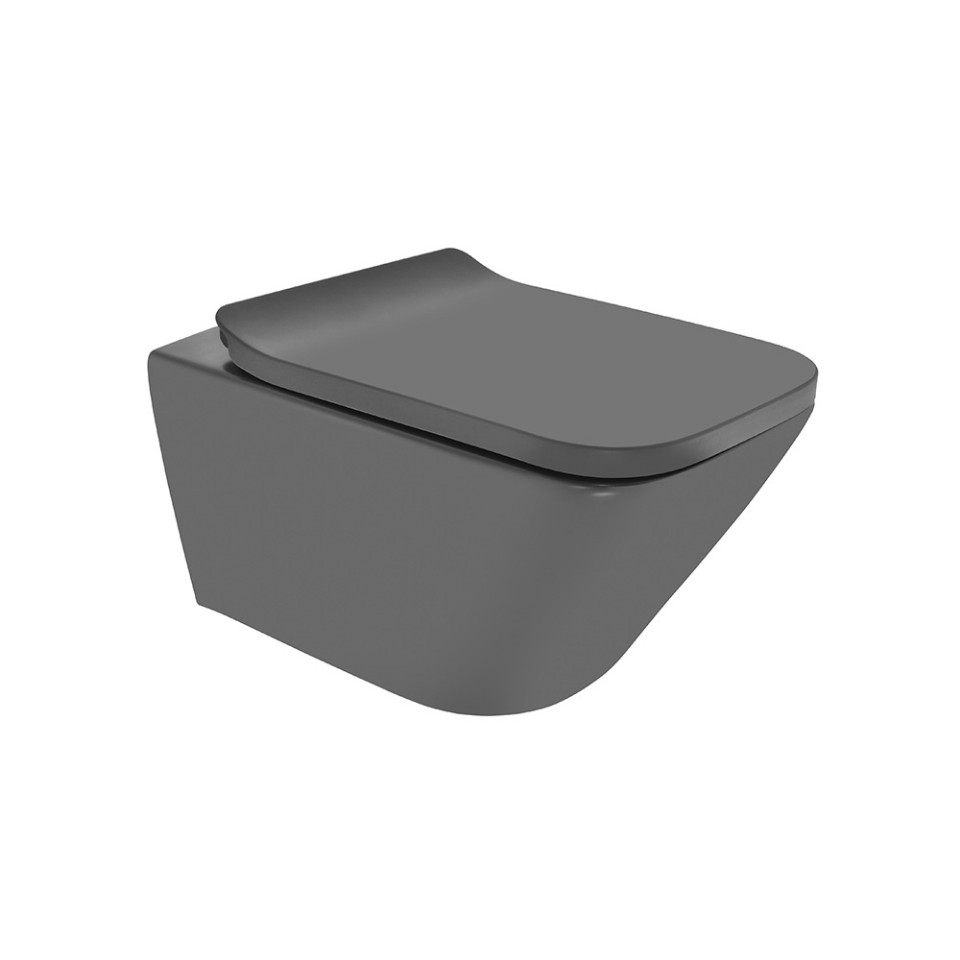 Picture of Rimless Blind Installation Wall Hung WC - Grey Matt