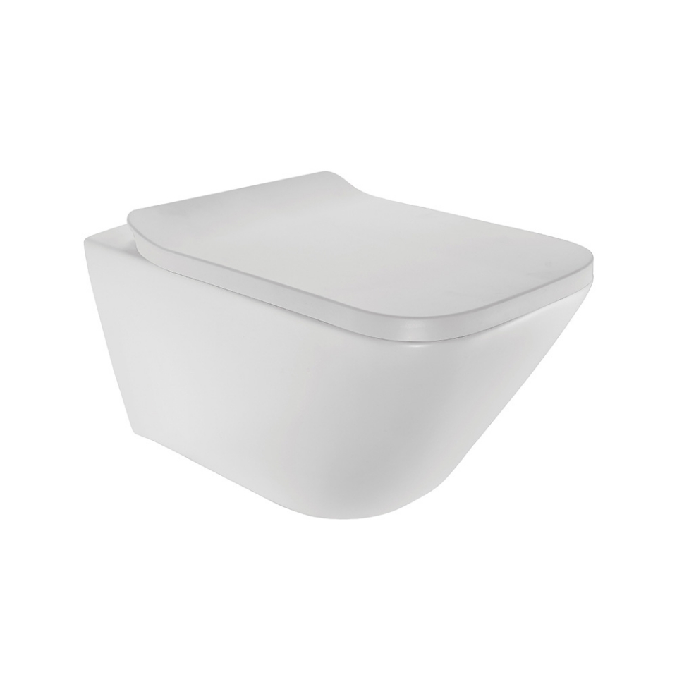 Picture of Rimless Blind Installation Wall Hung WC - White Matt