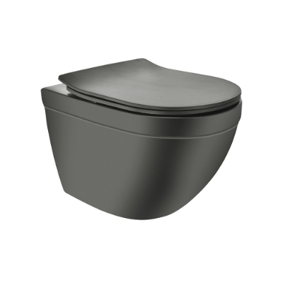 Picture of Rimless, Blind Installation Wall Hung WC - Grey Matt