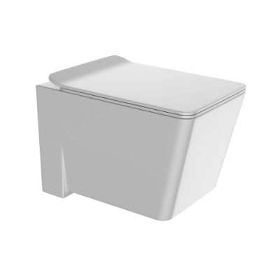 Picture of Rimless Blind Installation Wall Hung WC - White Matt