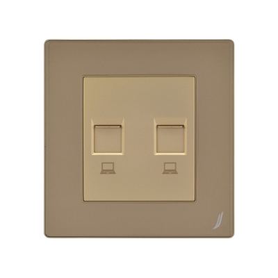 Picture of Double Computer Socket - Gold