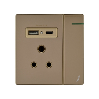 Picture of Three Pin Socket With Indicator And Big Switch And One Usb And One Type-C - Gold