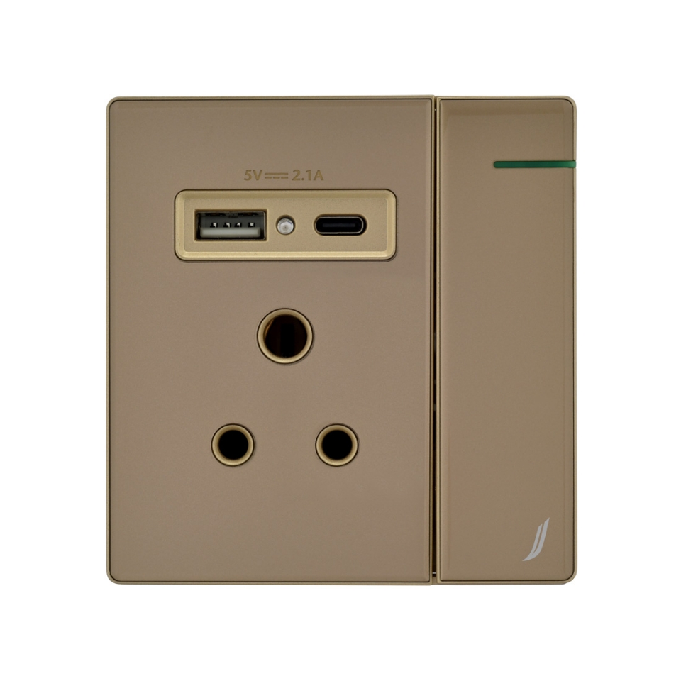 Picture of Three Pin Socket With Indicator And Big Switch And One Usb And One Type-C - Gold
