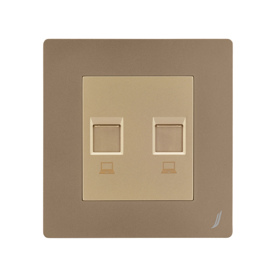 Picture of Double Computer Socket - Gold