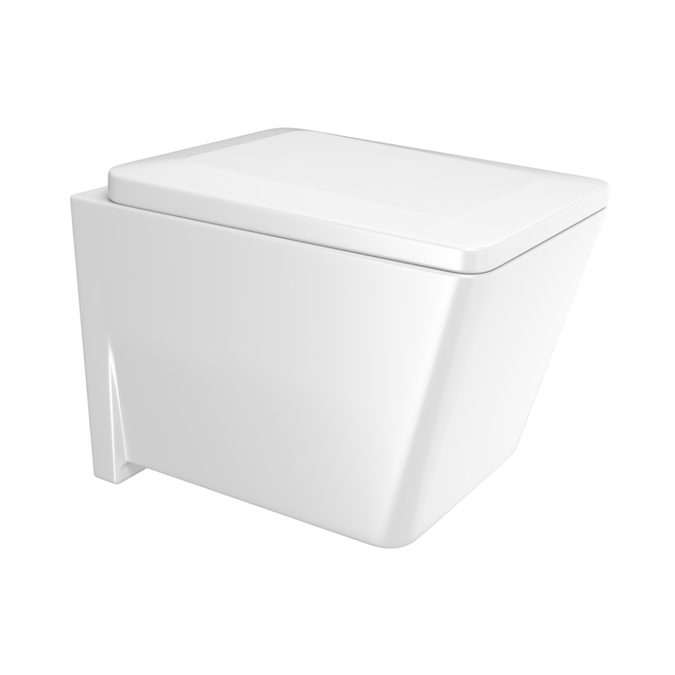 Picture of Rimless Blind Installation Wall Hung WC - White Matt