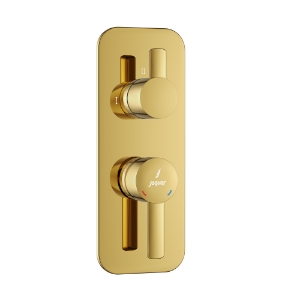 Picture of Aquamax Exposed Part Kit of Single Lever Shower Mixer - Gold Bright PVD