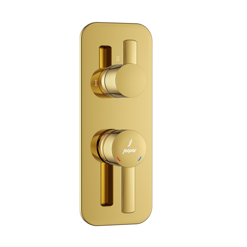 Picture of Aquamax Exposed Part Kit of Single Lever Shower Mixer - Gold Bright PVD
