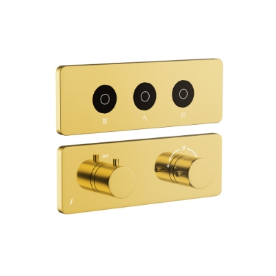 Picture of एक्सपोज़्ड पार्ट किट ऑफ क्लाउड टच शॉवर सिस्टम - गोल्ड ब्राइट पीवीडी