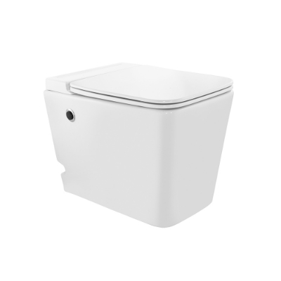 Picture of Tankless Single Piece WC