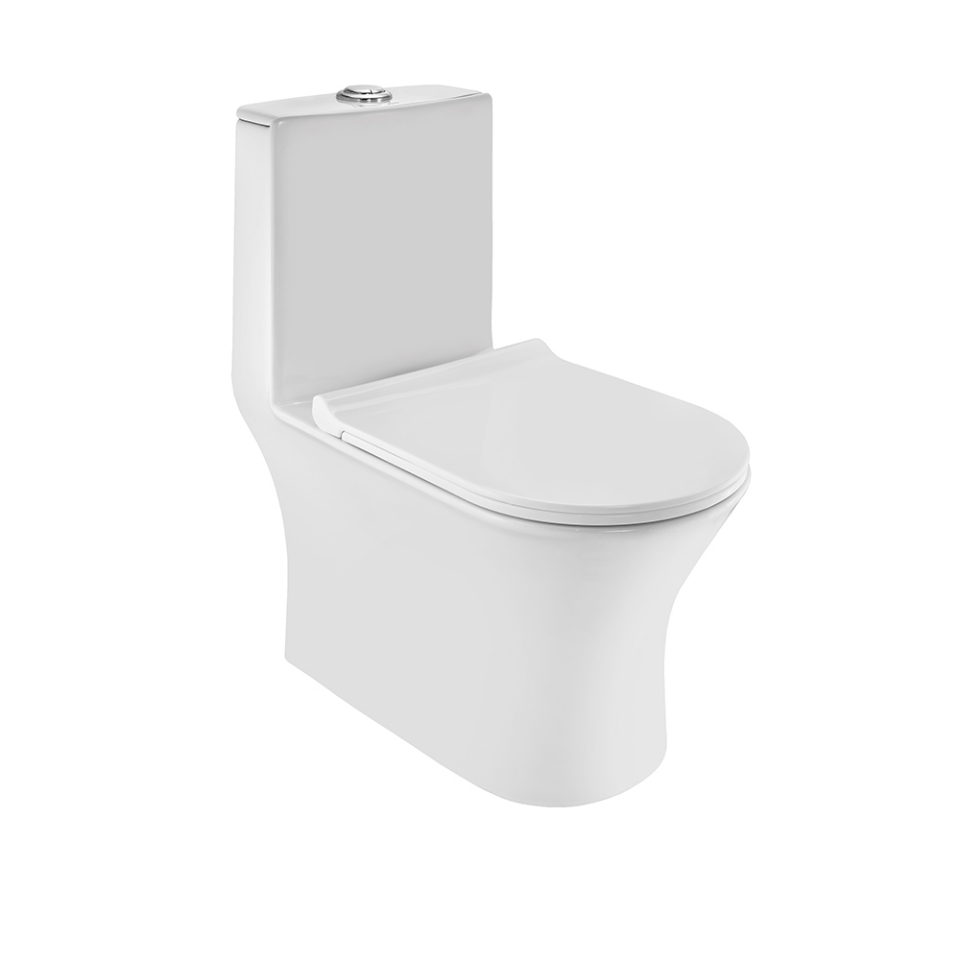 Picture of रिमलेस सिंगल पीस WC