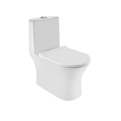 Picture of रिमलेस सिंगल पीस WC