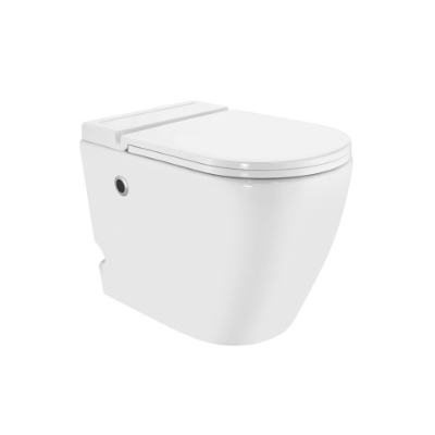 Picture of टैंकलेस सिंगल पीस WC