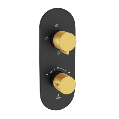 Picture of ऐक्वामैक्स एक्स्पोज़्ड पार्ट किट ऑफ थर्मोस्टैटिक शॉवर मिक्सर विद 3-वे डायवर्टर - लीवर: गोल्ड मैट PVD | बॉडी: ब्लैक मैट