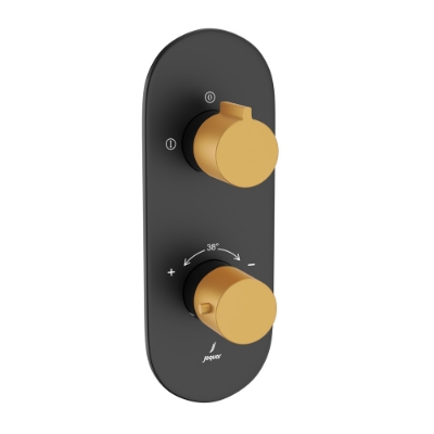 Picture of Aquamax Exposed Part Kit of Thermostatic Shower Mixer with 2-way diverter - Lever: Gold Matt PVD | Body: Black Matt