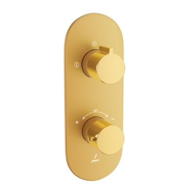 Picture of ऐक्वामैक्स एक्स्पोज़्ड पार्ट किट ऑफ थर्मोस्टैटिक शॉवर मिक्सर विद 2-वे डायवर्टर - लीवर: गोल्ड ब्राइट PVD | बॉडी: गोल्ड मैट PVD