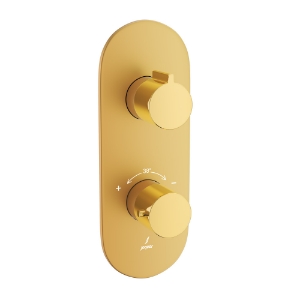 Picture of Aquamax Thermostatic Shower Mixer- Lever: Gold Bright PVD | Body: Gold Matt PVD
