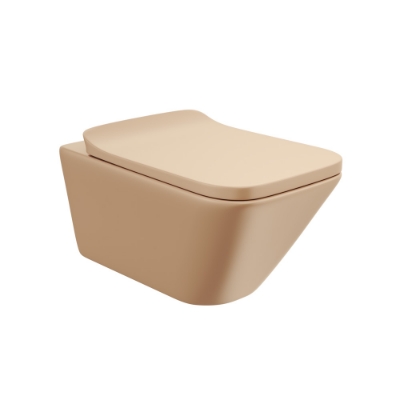 Picture of रिमलेस ब्लाइंड इंस्टॉलेशन वॉल हँग WC