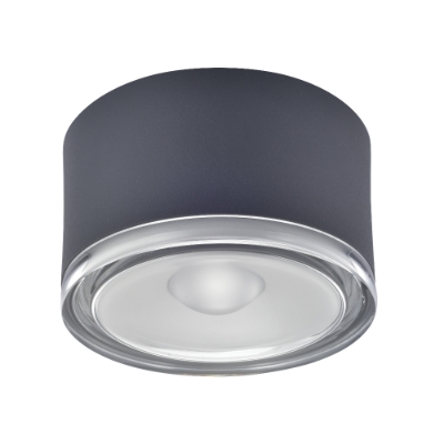 Picture of Led Eye Celing Surface Downlight 20 Deg 24W