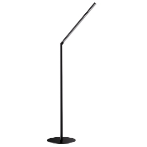 Picture of Floor Lamp in Balck Finish