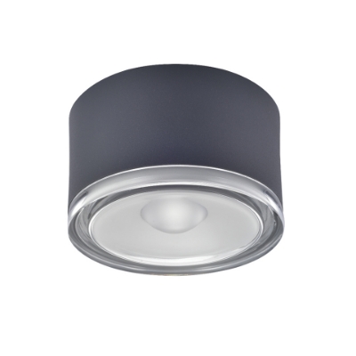 Picture of LED Eye Ceiling Surface Downlight
