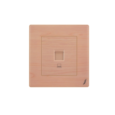 Picture of Computer Data Socket