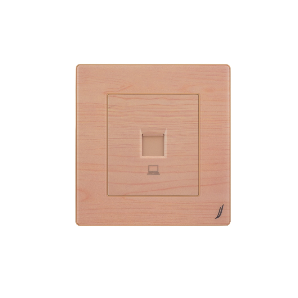 Picture of Computer Data Socket