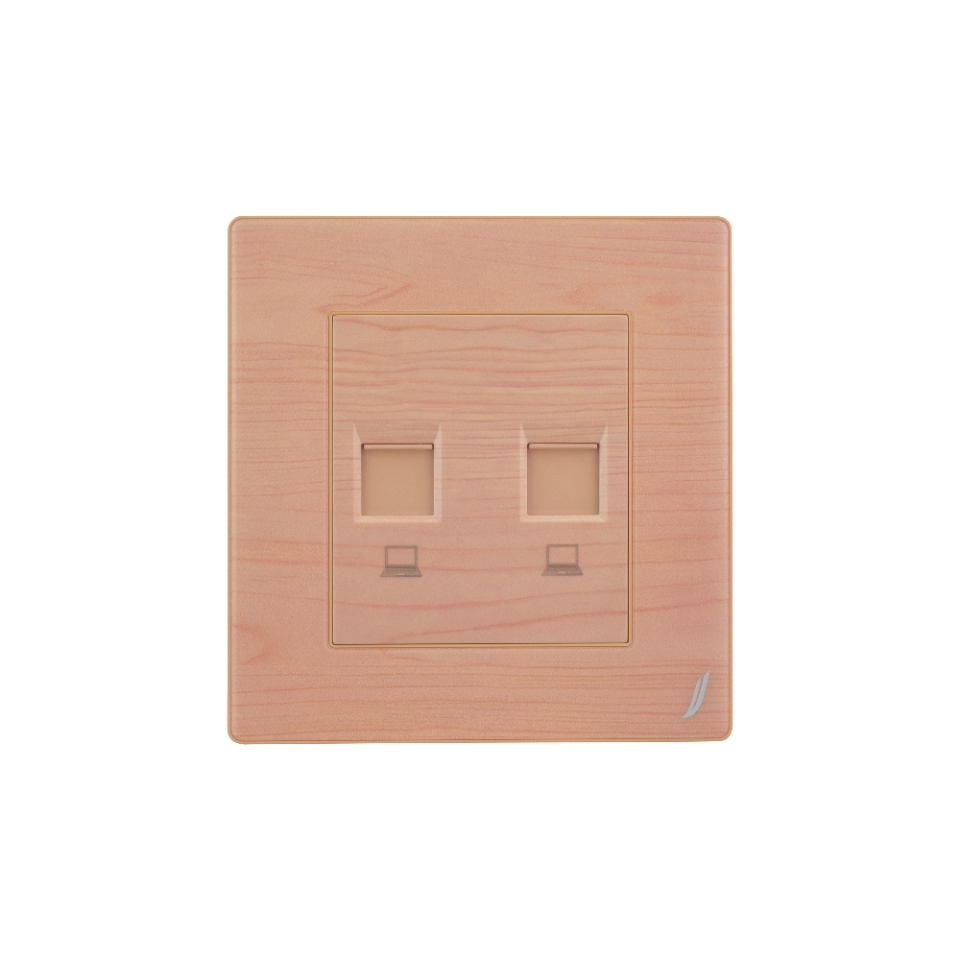 Picture of Double Port Computer Data Socket