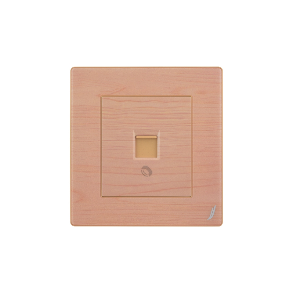 Picture of One Way Telephone Socket