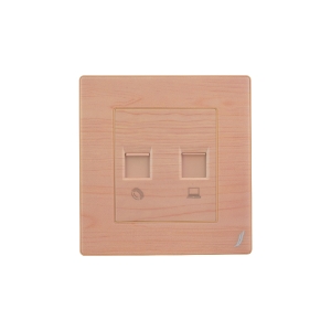 Picture of Telephone & Computer Data Socket